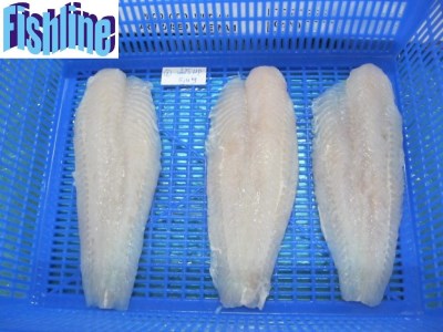 PANGASIUS FILLET WHITE COLOR, WEL TRIMMED, EU TREATED